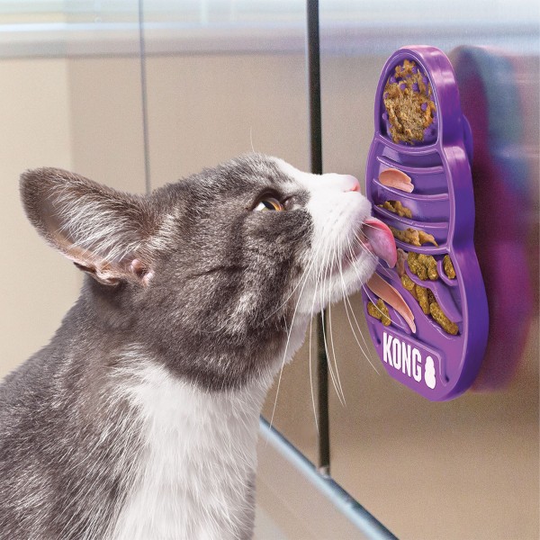 chat qui lèche le licks kitty kong