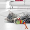 chat gris allongé qui joue avec le jouet pour chat Bat-A-Bout Clackz Caterpillar - KONG®
