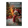 Calendrier de l'Avent pour chien Doogy