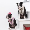 1 chien avec le harnais pour chien beige Junior Puppia et 1 autre chien avec le harnais pour chien rose Junior Puppia