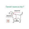 comment choisir la taille du harnais pour chien noir Junior Puppia