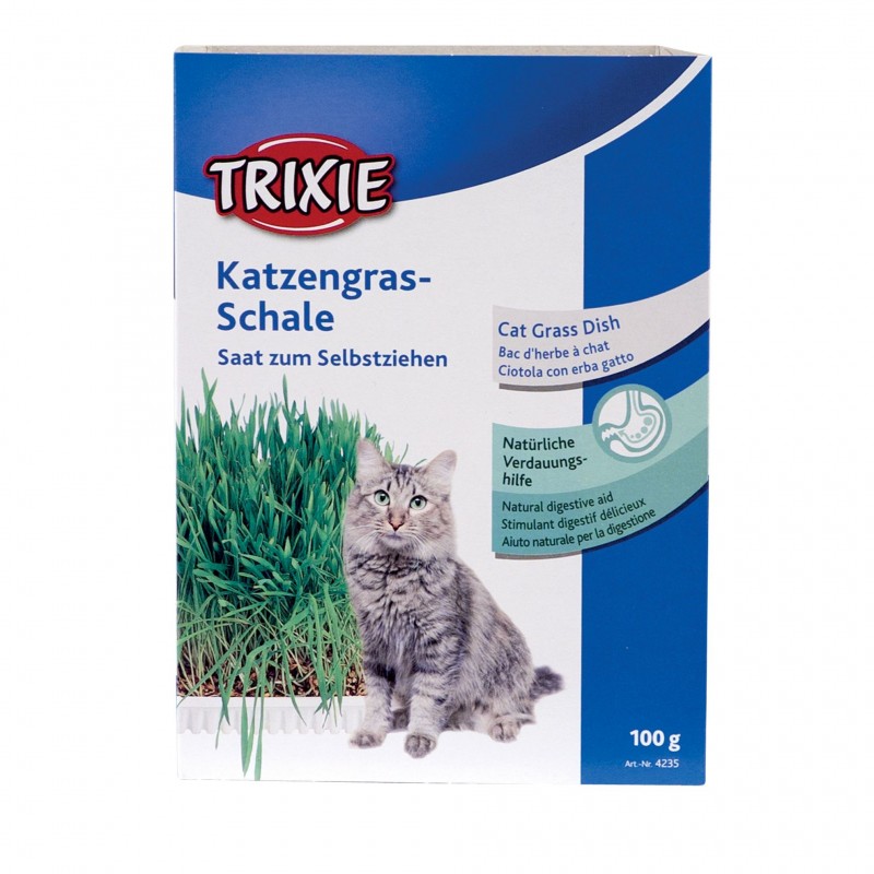 graines pour herbe à chat trixie