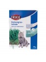 graines pour herbe à chat trixie