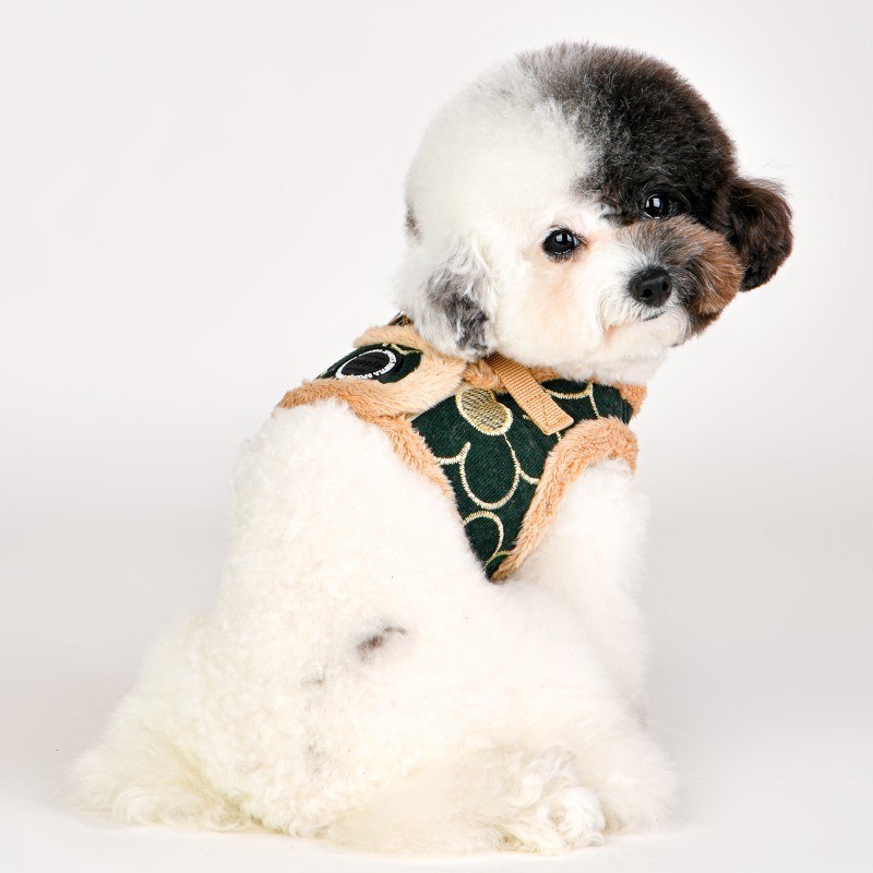 chien de dos avec le Harnais Veste pour chien kaki FLORENT Puppia