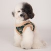 chien de face avec le Harnais Veste pour chien kaki FLORENT Puppia