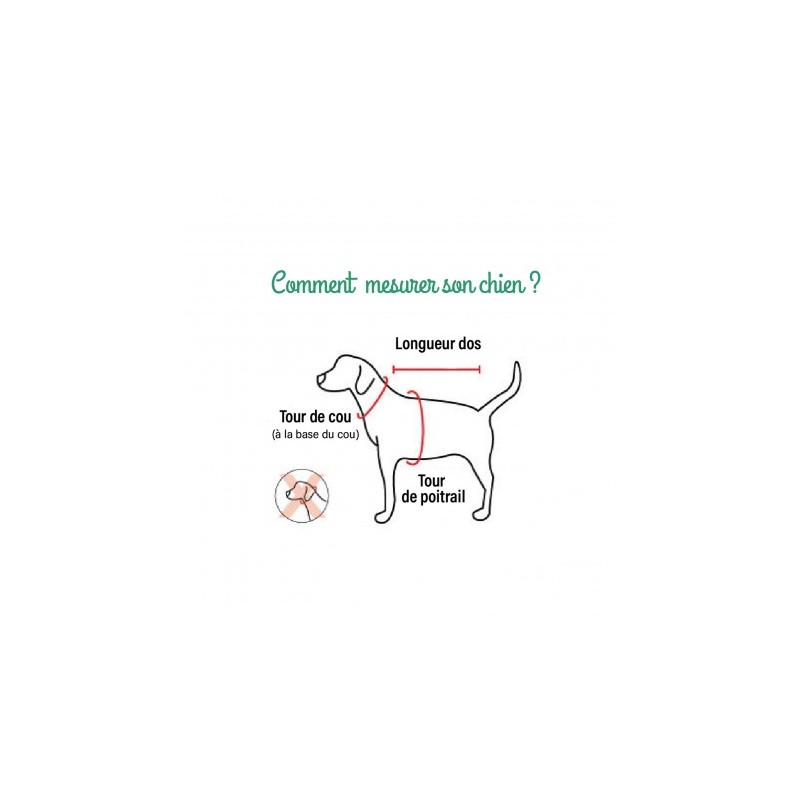 comment choisir la taille du Harnais Veste pour chien kaki FLORENT Puppia