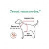 comment choisir la taille du Harnais Veste pour chien kaki FLORENT Puppia