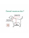 comment choisir la taille du Harnais Veste pour chien kaki FLORENT Puppia