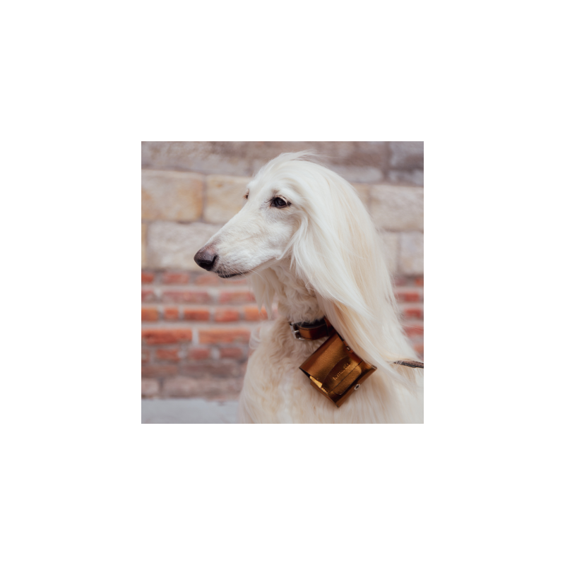 chien avec le distributeur de sacs à crottes en cuir cuivre métallissé dakota poopidoo martin sellier
