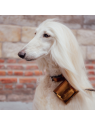 chien avec le distributeur de sacs à crottes en cuir cuivre métallissé dakota poopidoo martin sellier