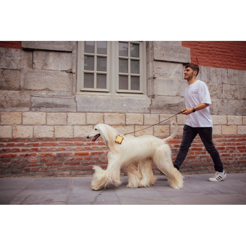 homme promenant son chien avec le distributeur de sacs à crottes en cuir cuivre métallisé MARTIN SELLIER