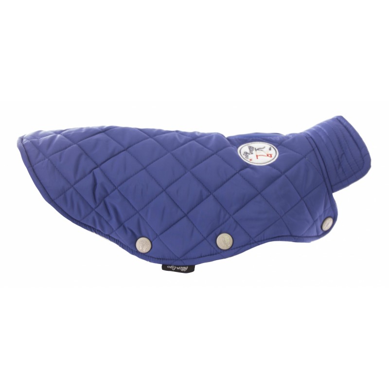 doudoune pour chien bleue chasseur alpin alter ego by martin sellier