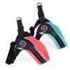 harnais pour chien réglable confort sorbet tre ponti disponible en pêche ou menthe