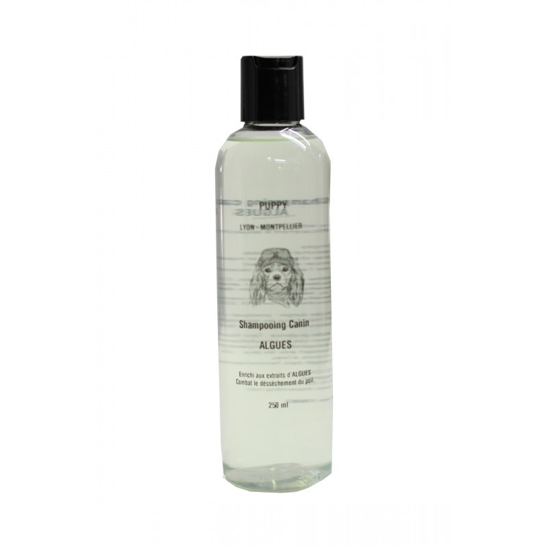 shampooing chien aux alguespour puppy