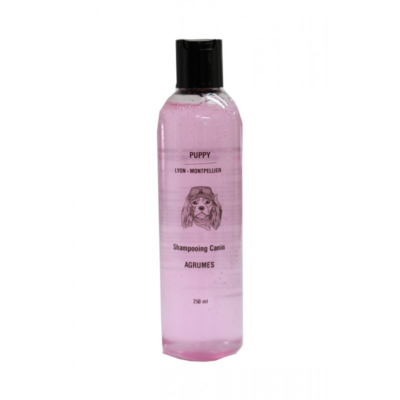 shampooing agrumes pour chien puppy
