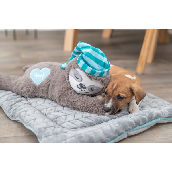 chien avec la peluche pour chien junior paresseux avec battement de coeur trixie