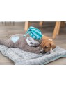 chien avec la peluche pour chien junior paresseux avec battement de coeur trixie