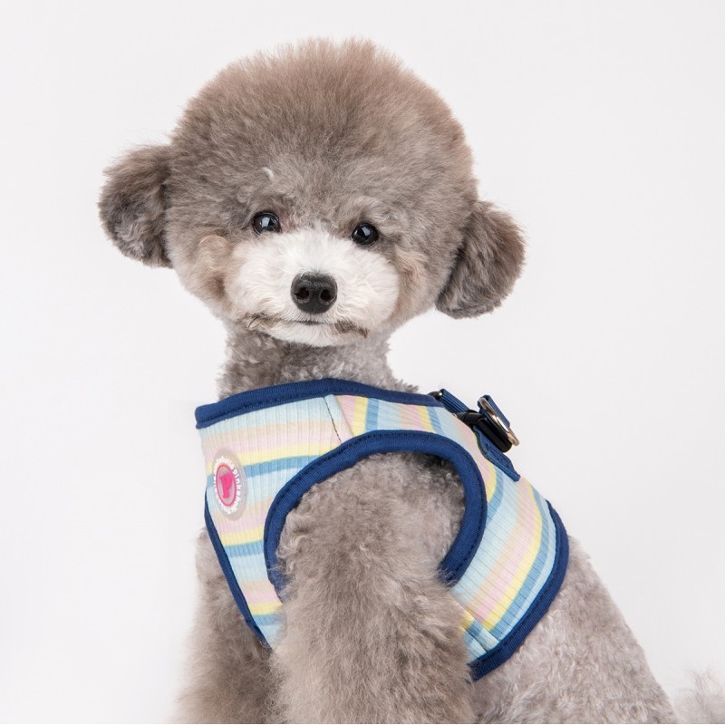 chien avec le harnais veste pour chien bleu maire pinkaholic