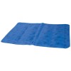 Tapis rafraîchissant pour chien et chat Doogy
