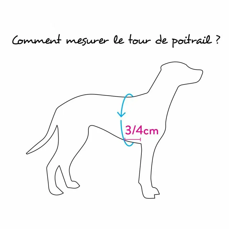 comment choisir la taille du harnais pour chien bleu réglable confort pastel tre ponti