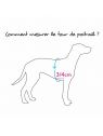 comment choisir la taille du harnais pour chien bleu réglable confort pastel tre ponti