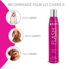 Recommandations après shampooing pour chien flash Artero