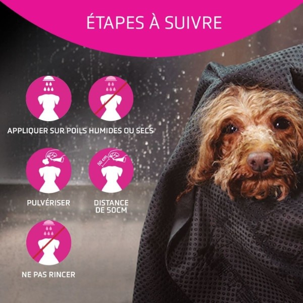 Conseils d'utilisation après shampooing pour chien et chat flash Artero