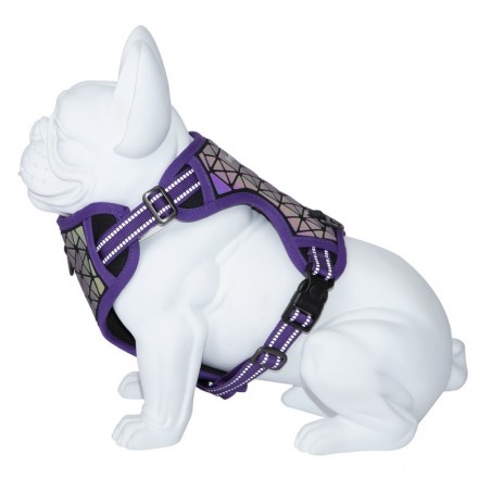 harnais boréal violet réfléchissant pour chien Freedog