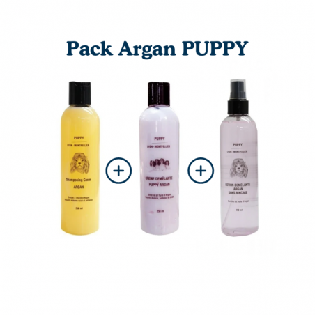 pack chien argan PUPPY