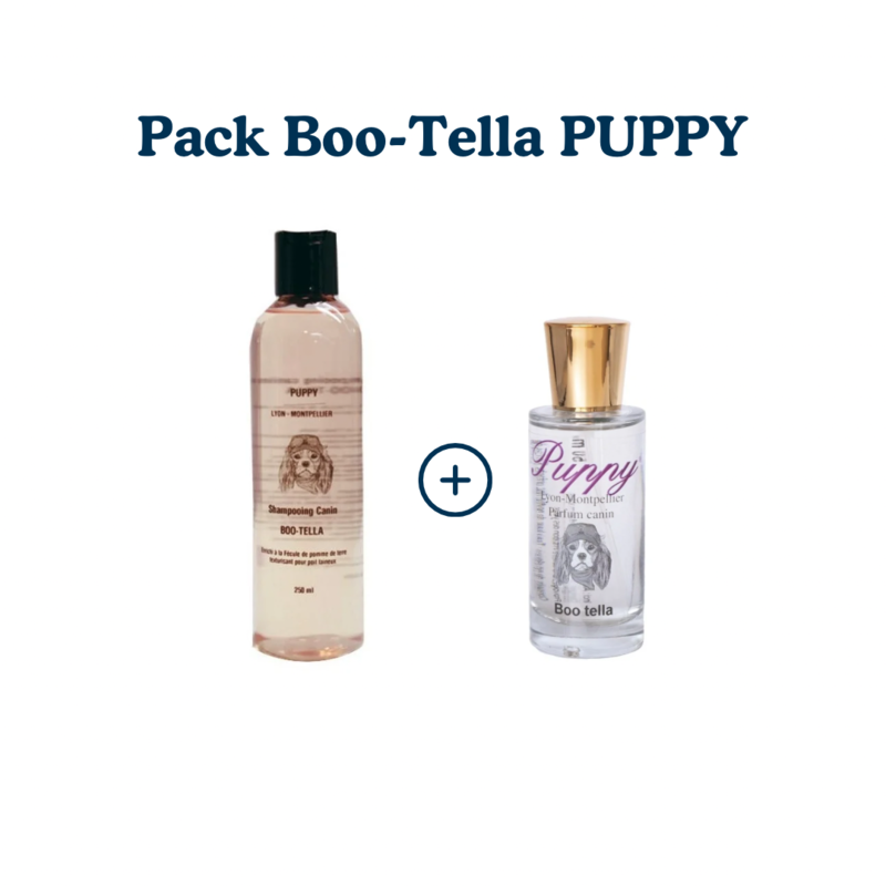 pack chien boo tella puppy
