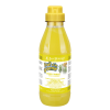 shampooing pour chien et chat anti-démangeaison sureau gingembre fruit of groomer iv san bernard 500 ml