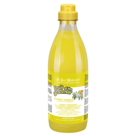 shampooing pour chien anti-démangeaison sureau gingembre fruit of groomer iv san bernard 1L