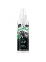 Dental care spray menthe fraîche pour chien et chat Bugalugs