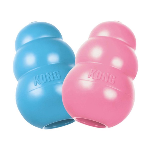 jouet pour chiot kong puppy coloris aléatoire