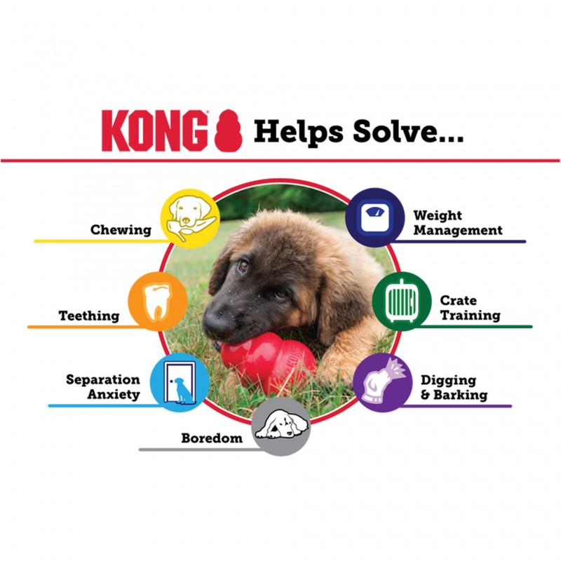 avantages des jouets KONG en caoutchouc naturel