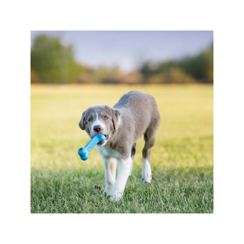 chiot jouant avec le jouet pour chiot Goody bone puppy kong