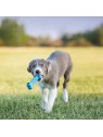chiot jouant avec le jouet pour chiot Goody bone puppy kong