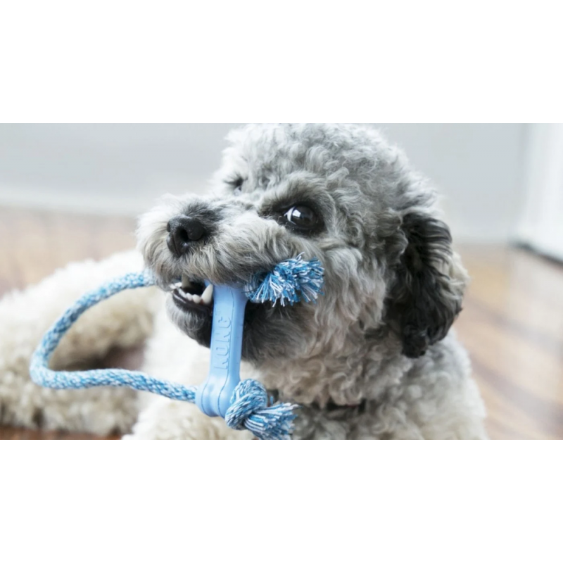 chiot qui joue avec le  jouet pour chiot Goody bone avec corde kong bleu