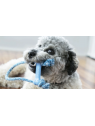 chiot qui joue avec le  jouet pour chiot Goody bone avec corde kong bleu