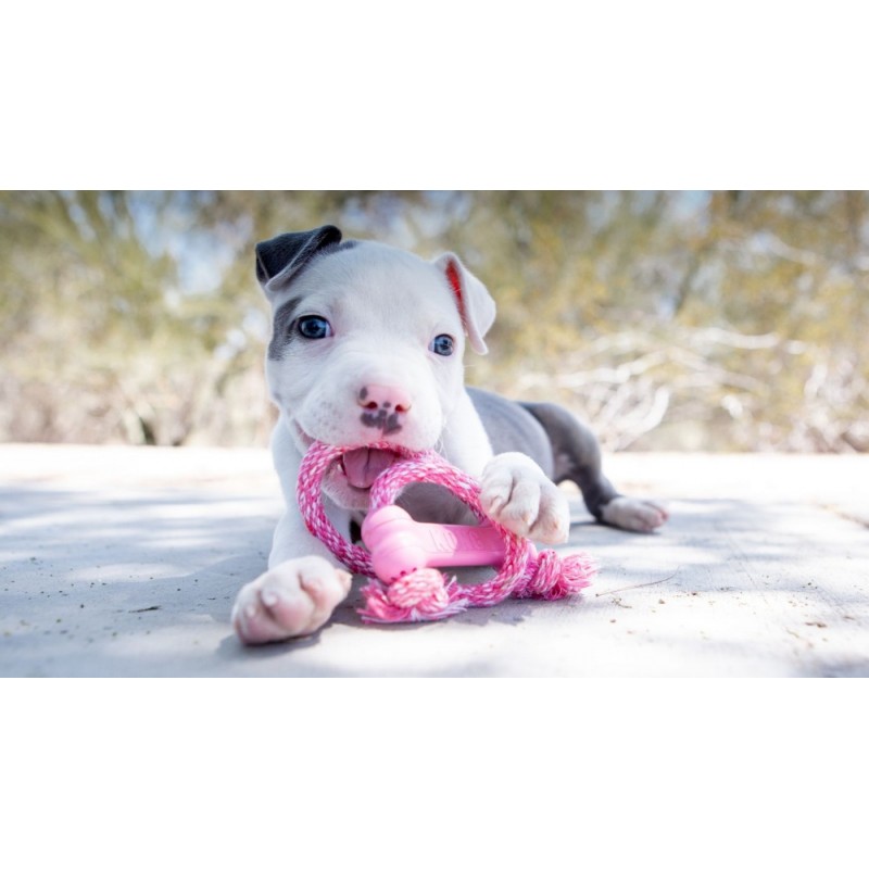 chiot qui joue avec le  jouet pour chiot Goody bone avec corde kong rose