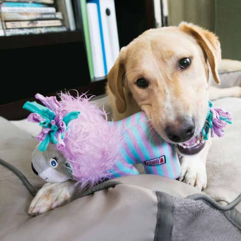 chien avec la peluche pour chien carnival éléphant knots kong