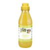 Shampooing pour chien poils longs maracuja passion fruit of groomer iv san bernard 500 ml