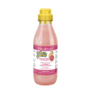 Shampooing pour chien poils mi longs pamplemousse rose fruit of groomer IV SAN BERNARD 500 ml