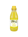 Shampooing pour chien anti-démangeaisons sureau gingembre fruit of groomer iv san bernard 500 ml