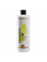 shampooing pomme pour chien et chat iv san bernard