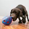 Distributeur de friandises pour chien rewards wally KONG instinct de recherche