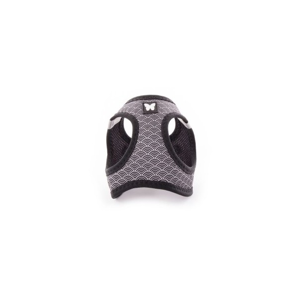 harnais pour chien éventail noir mesh  martin sellier de face