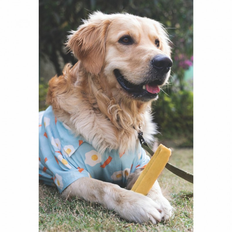régaler son chien avec du fromage de Yak Doogy