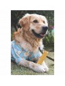 régaler son chien avec du fromage de Yak Doogy