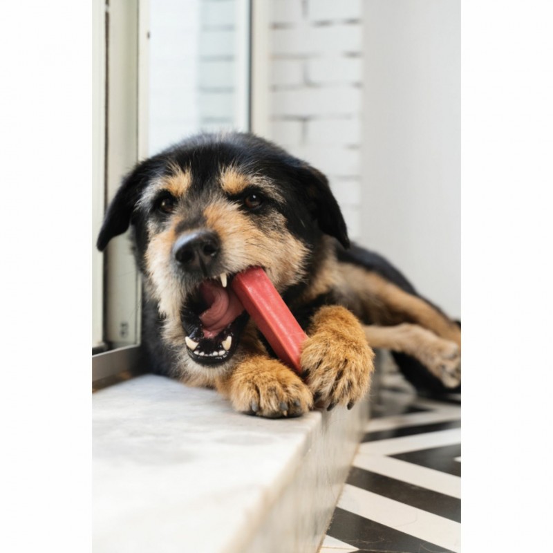 Régaler son chien avec une friandise fromage cheese treat fraise Doogy